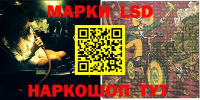 стафф Новозыбков