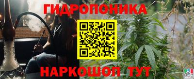 стафф Новозыбков