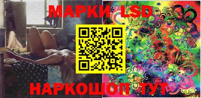 стафф Новозыбков
