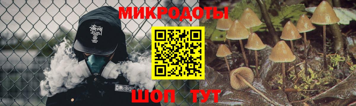 Галлюциногенные грибы MAGIC MUSHROOMS  Вход с VPN  Солнечногорск 